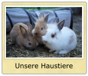 Unsere Haustiere